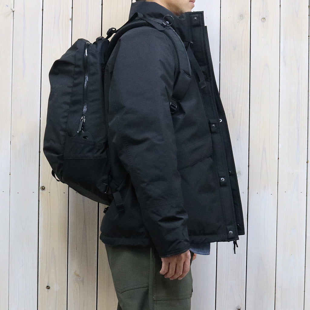 ARC'TERYX『Arro 22』(Black II)