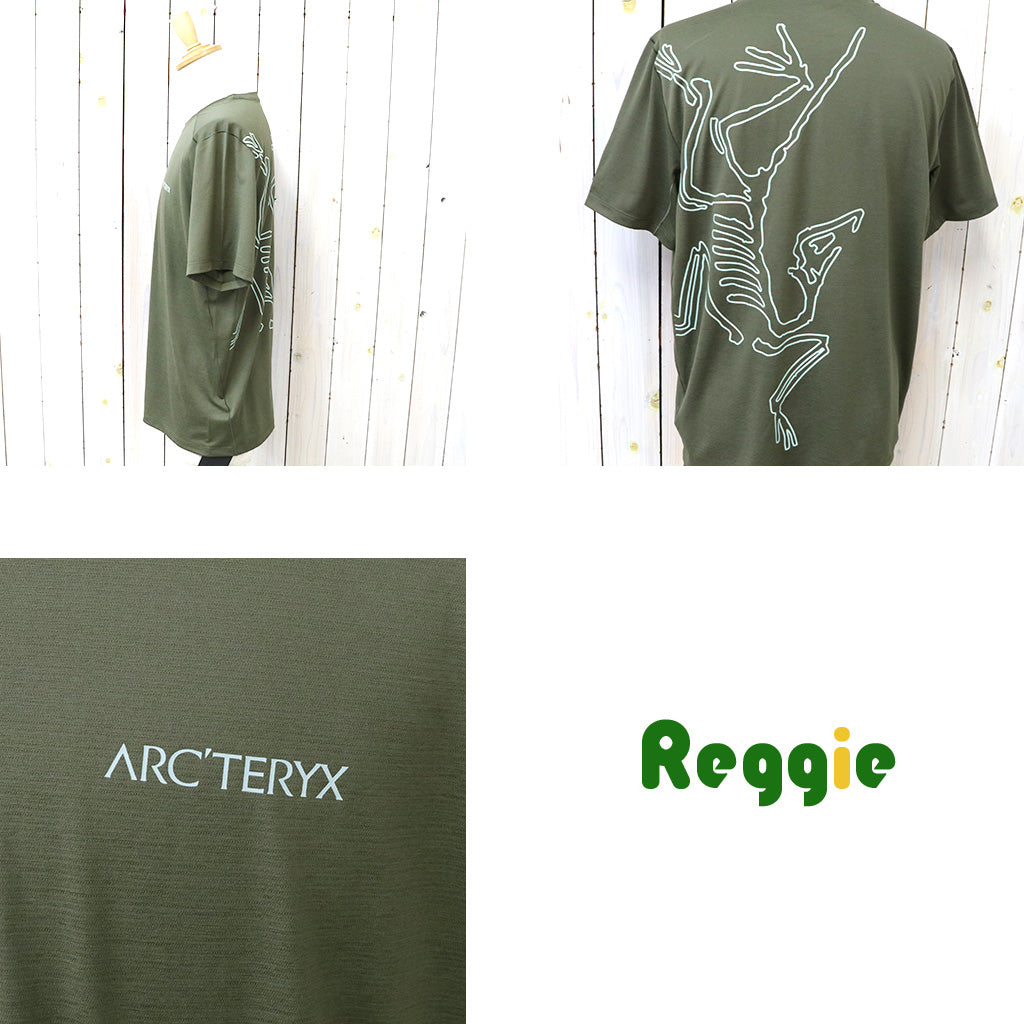 ARC'TERYX : Cormac Arc’Bird Logo SS (Tatsu Heather/Stone Green)