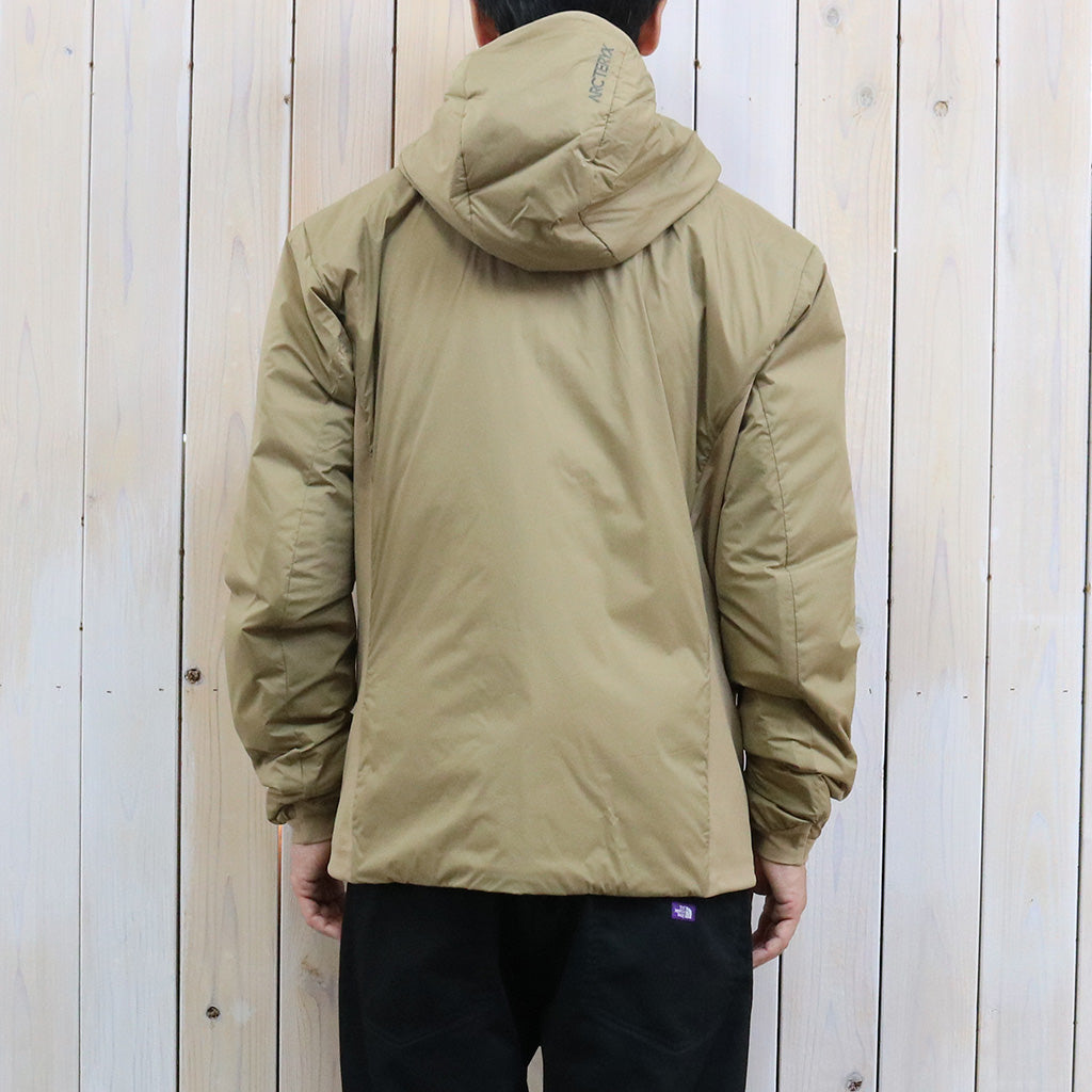 ARC'TERYX : Atom Hoody (Canvas/Forage)