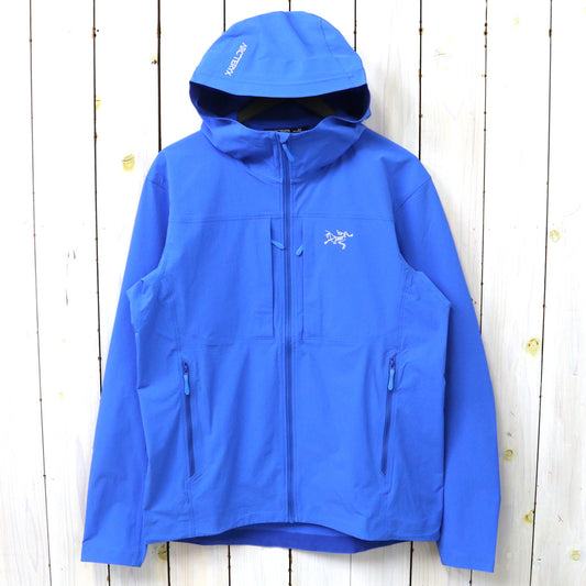 ARC'TERYX : Gamma Lightweight Hoody (Fluidity)