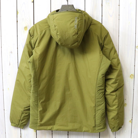 ARC'TERYX : Atom SV Hoody (Bracken)