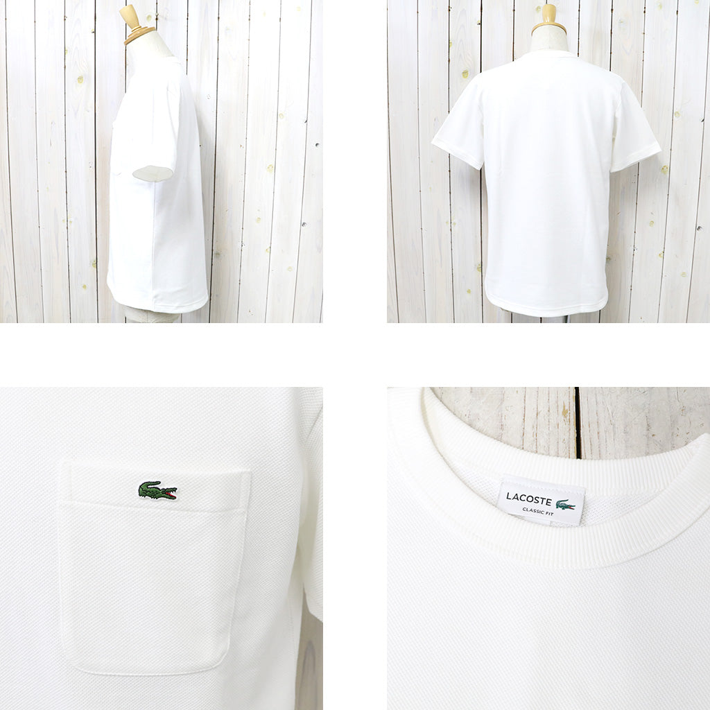 LACOSTE『BIG PIQUE ポケットTシャツ』(WHITE)