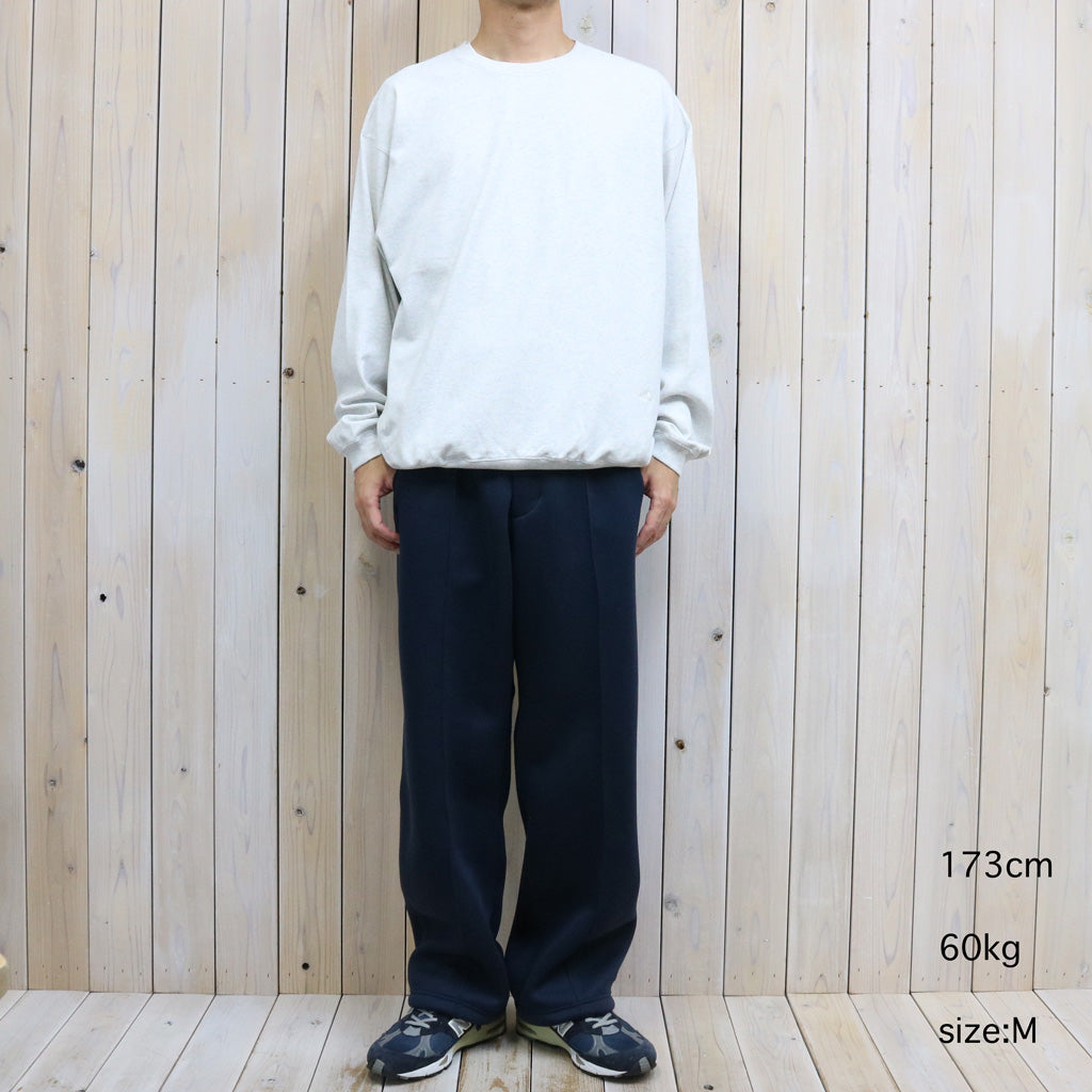 THE NORTH FACE PURPLE LABEL : 9.5oz Field Pullover (Stone)