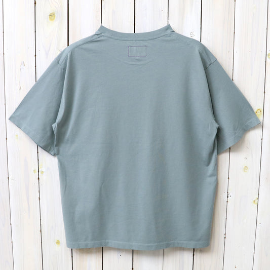 THE NORTH FACE PURPLE LABEL : Garment Dyed Field Tee (Light Sage)