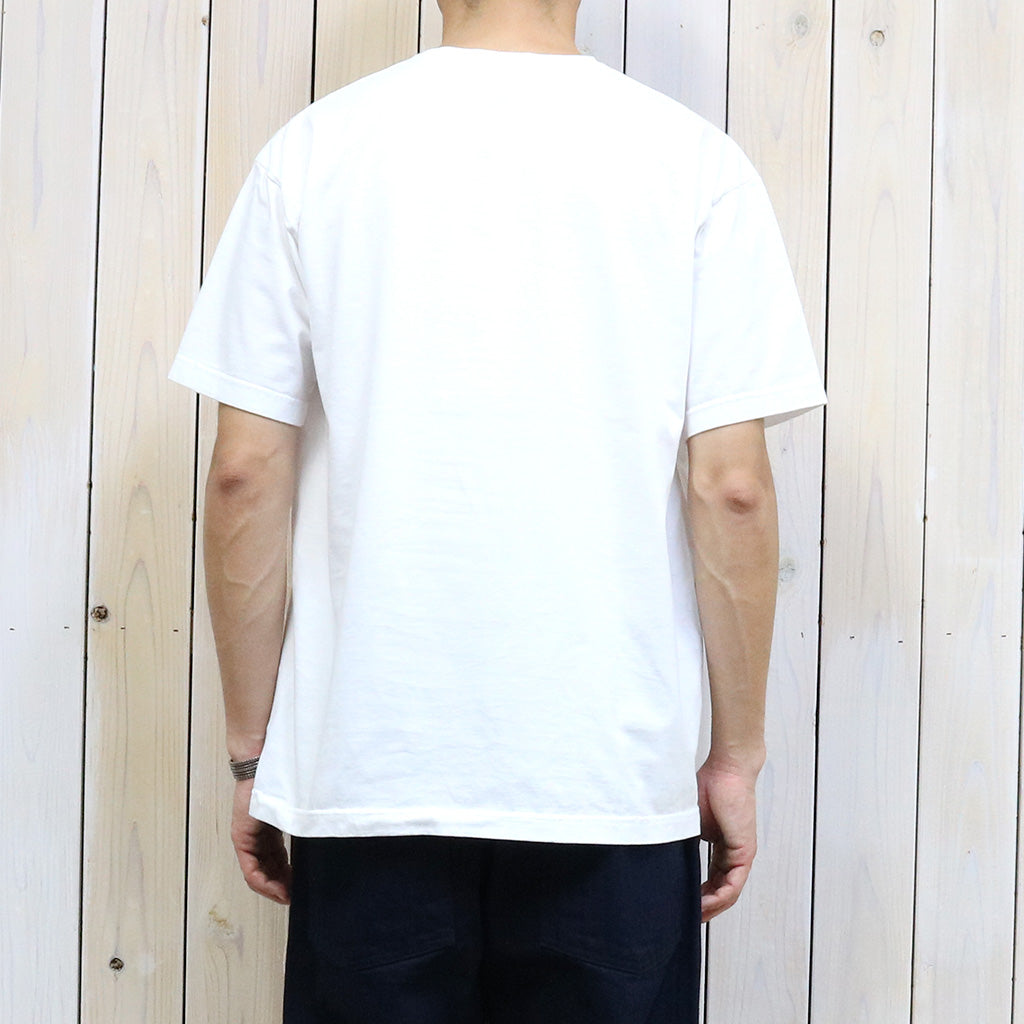 SASSAFRAS『FLASH TOOL T 1/2』