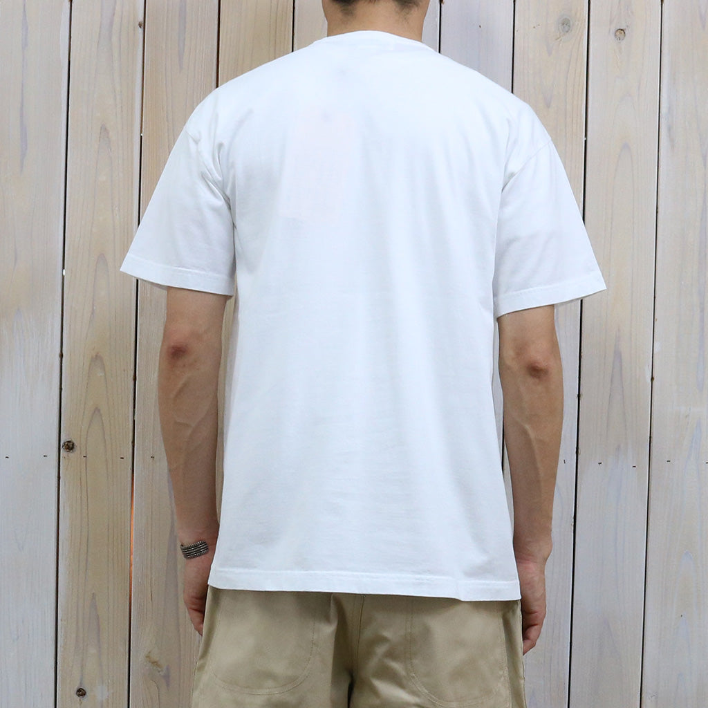 SASSAFRAS "OVERGROWN WARDEN T 1/2"