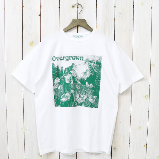 SASSAFRAS "OVERGROWN WARDEN T 1/2"