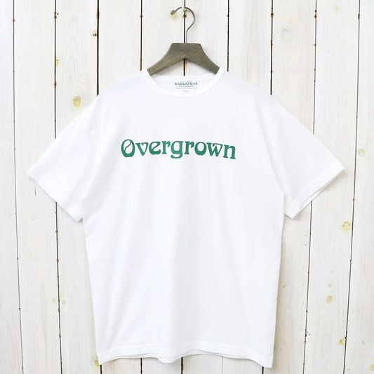 SASSAFRAS "OVERGROWN T 1/2"