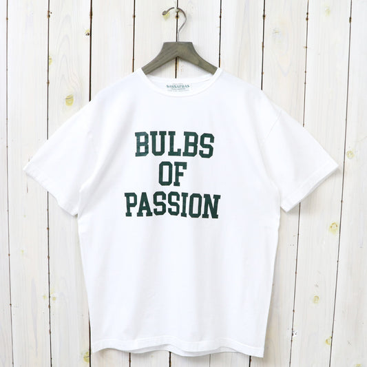 SASSAFRAS "BULBS OF PASSION T 1/2"