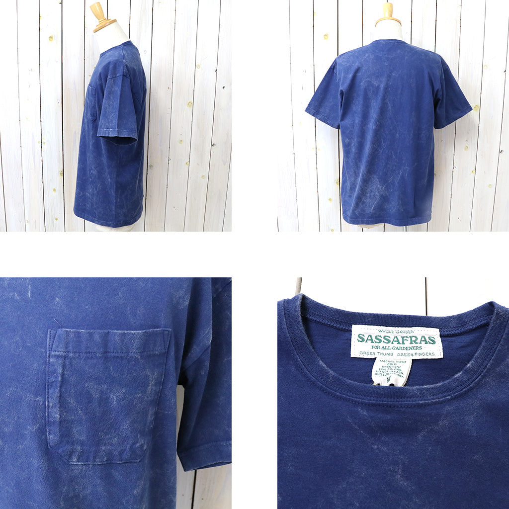 SASSAFRAS : SOIL GALAXY T 1/2 (SF-262403)