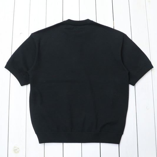 THE NORTH FACE : S/S Ripple Knit Crew (ブラック)