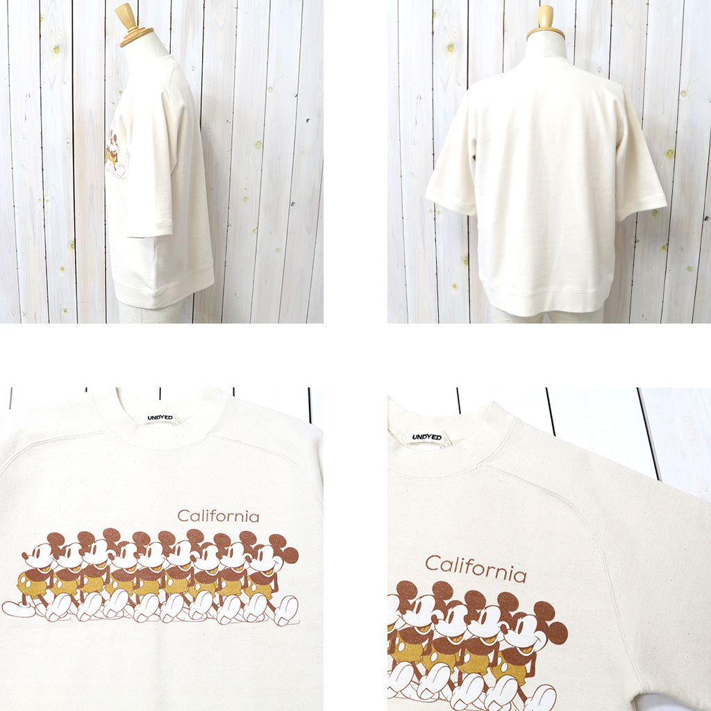 UNDYED : JACKSON MATISSE for UNDYED (MICKEY-SW1)