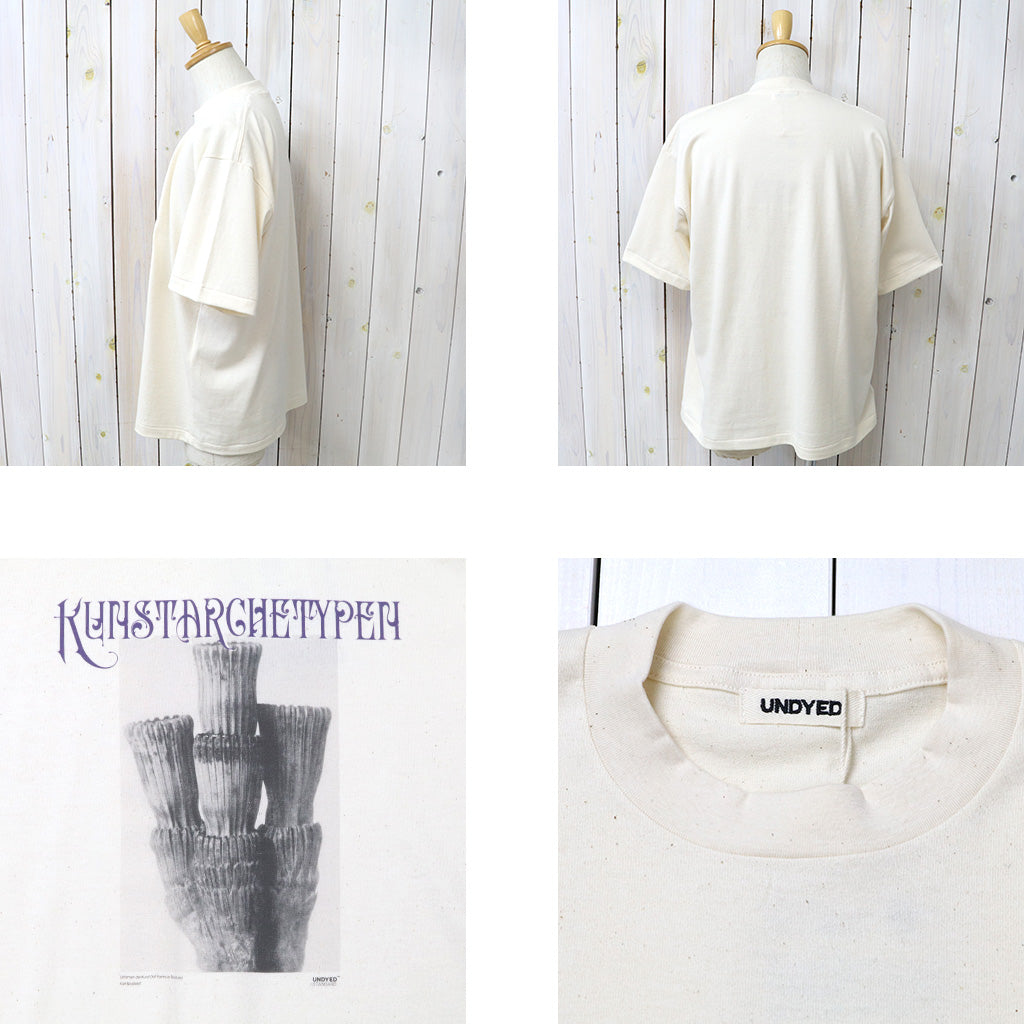 UNDYED : 30/2 Karl Blossfeldt PT-T(KUNSTAR) (RW)