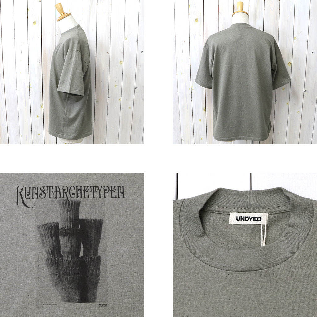 UNDYED : 30/2 Karl Blossfeldt PT-T(KUNSTAR) (KH)