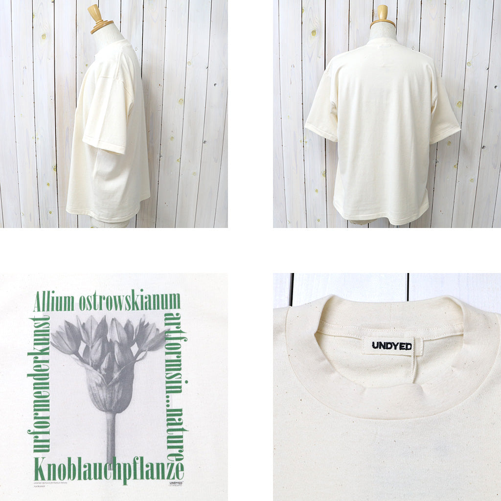 UNDYED : 30/2 Karl Blossfeldt PT-T(ALLIUM) (RW)