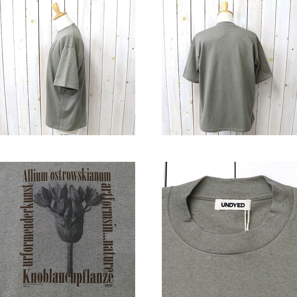 UNDYED : 30/2 Karl Blossfeldt PT-T(ALLIUM) (KH)