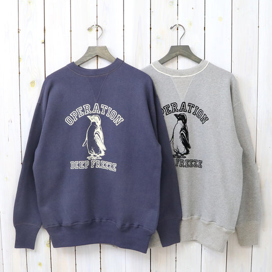 WAREHOUSE : Lot 401 DEEP FREEZE