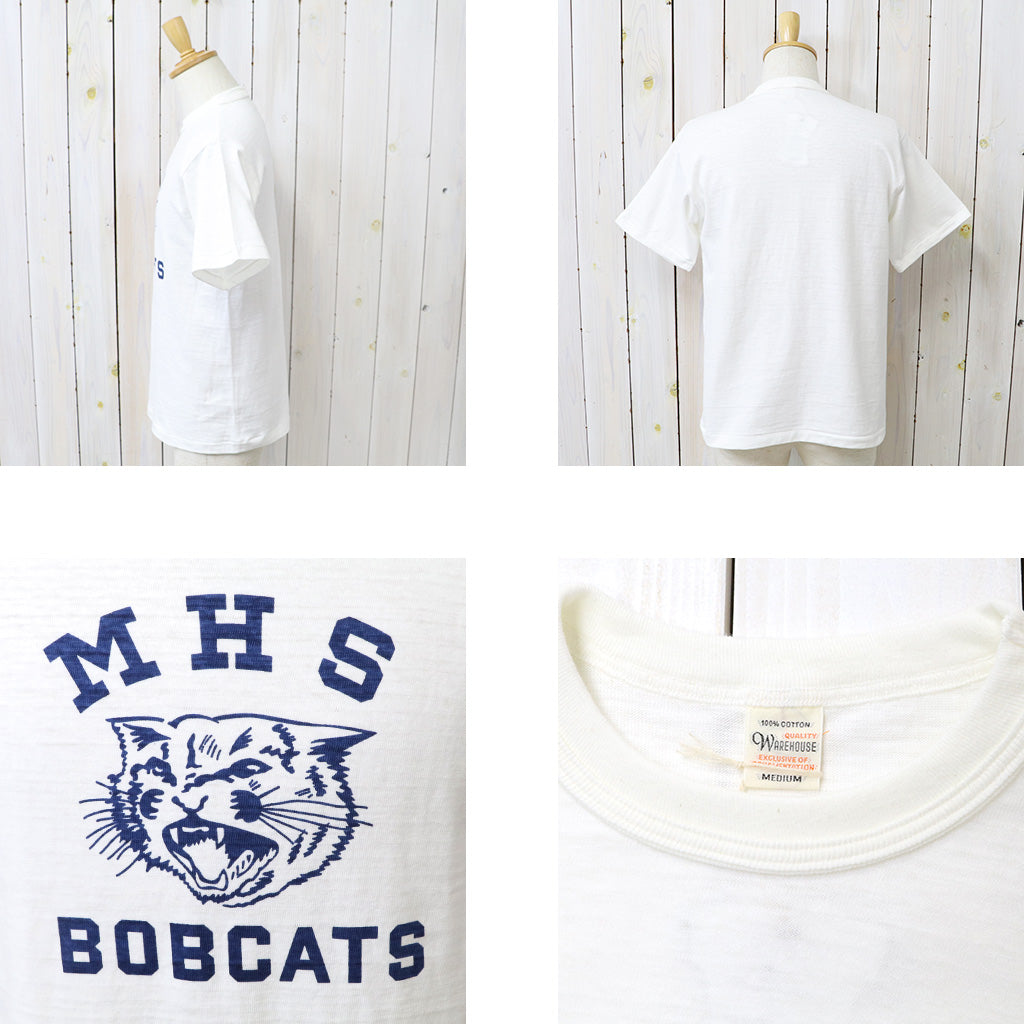 WAREHOUSE : Lot 4601 MHS