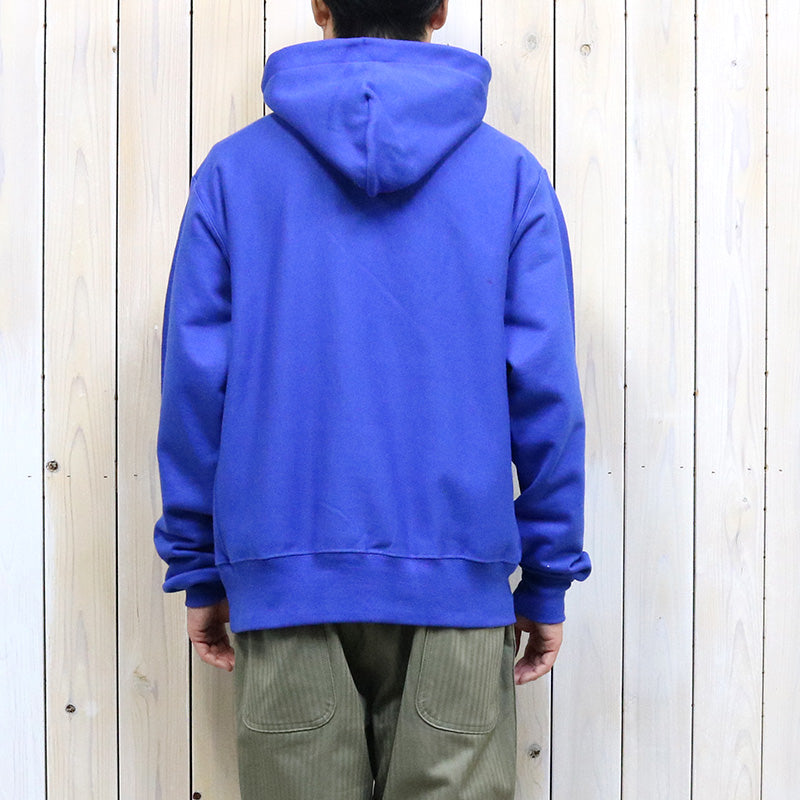 Champion : AIR FORCE FALCONS CHAMPION TEAM ARCH REVERSE WEAVE PULLOVER HOODIE (ROYAL)