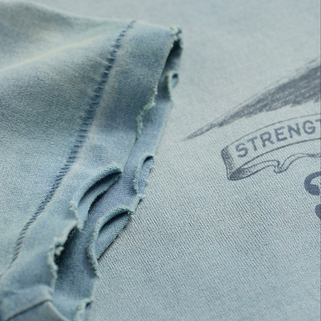 Double RL : DISTRESSED JERSEY GRAPHIC T-SHIRT (BLUE)