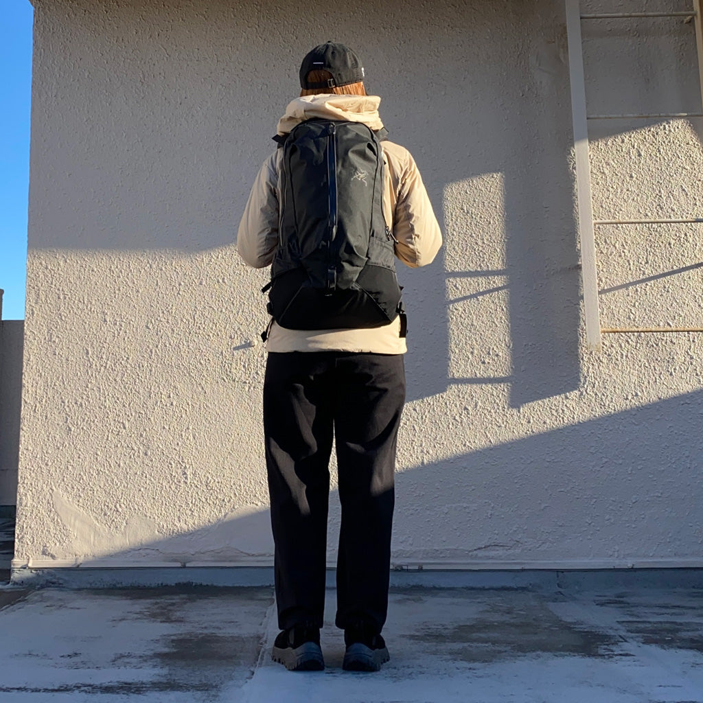 ARC'TERYX『Arro 22』(Black II)