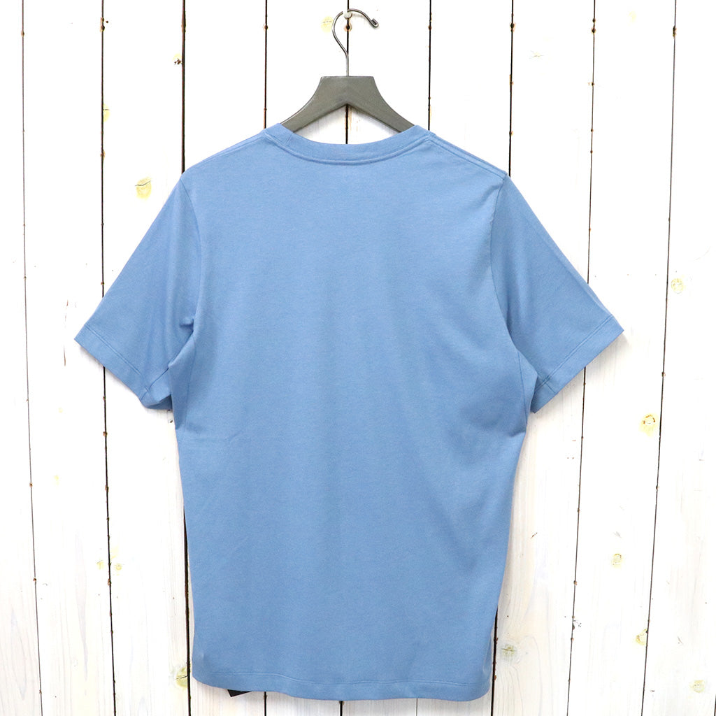 ARC'TERYX『Arc’Word Logo SS』(Stone Wash)