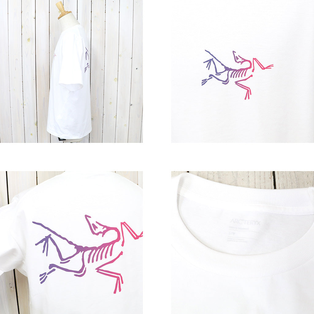 ARC'TERYX『Kragg Cotton Logo SS』(White Light/Multi)