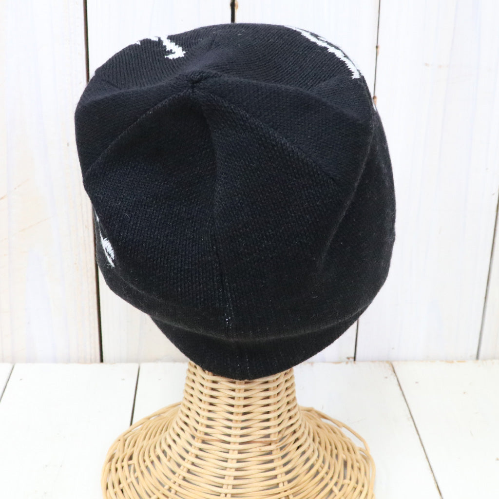 ARC'TERYX : Bird Head Toque (Orca)