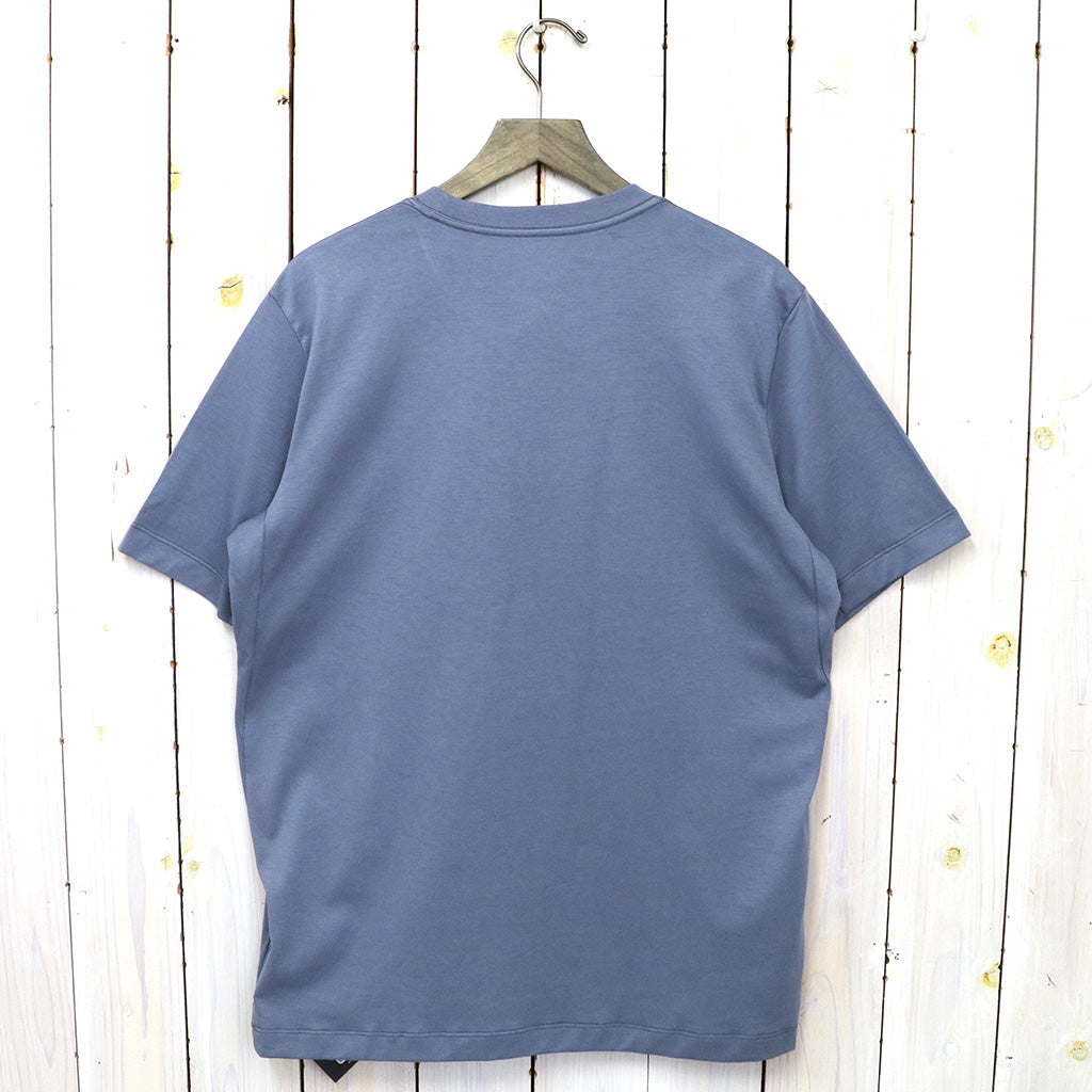 ARC'TERYX『Arc’Word Logo SS』(Stratus/Arctic Silk)