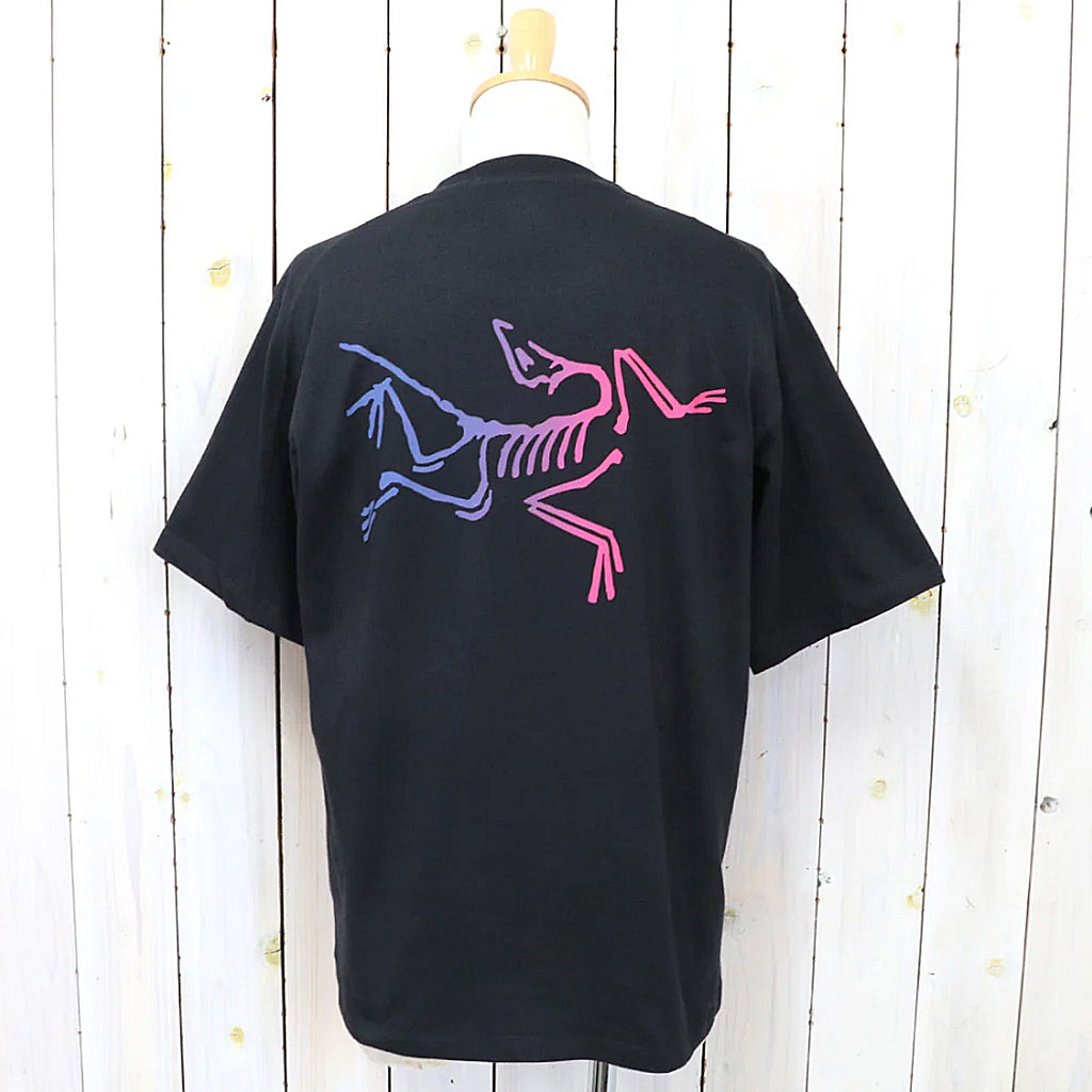 ARC'TERYX『Kragg Cotton Logo SS』(Black/Multi)