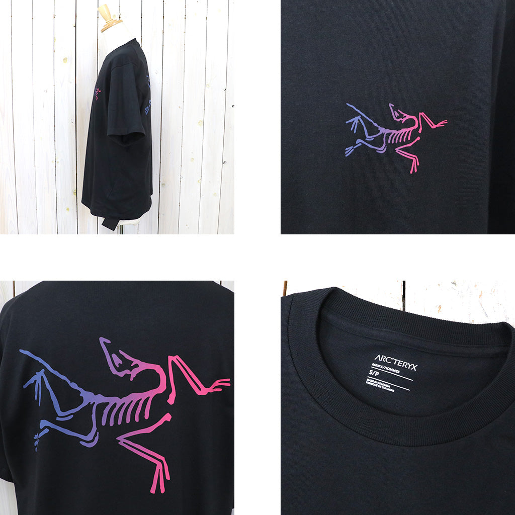 ARC'TERYX『Kragg Cotton Logo SS』(Black/Multi)