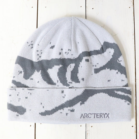 ARC'TERYX : Grotto Toque (Solitude/Void)