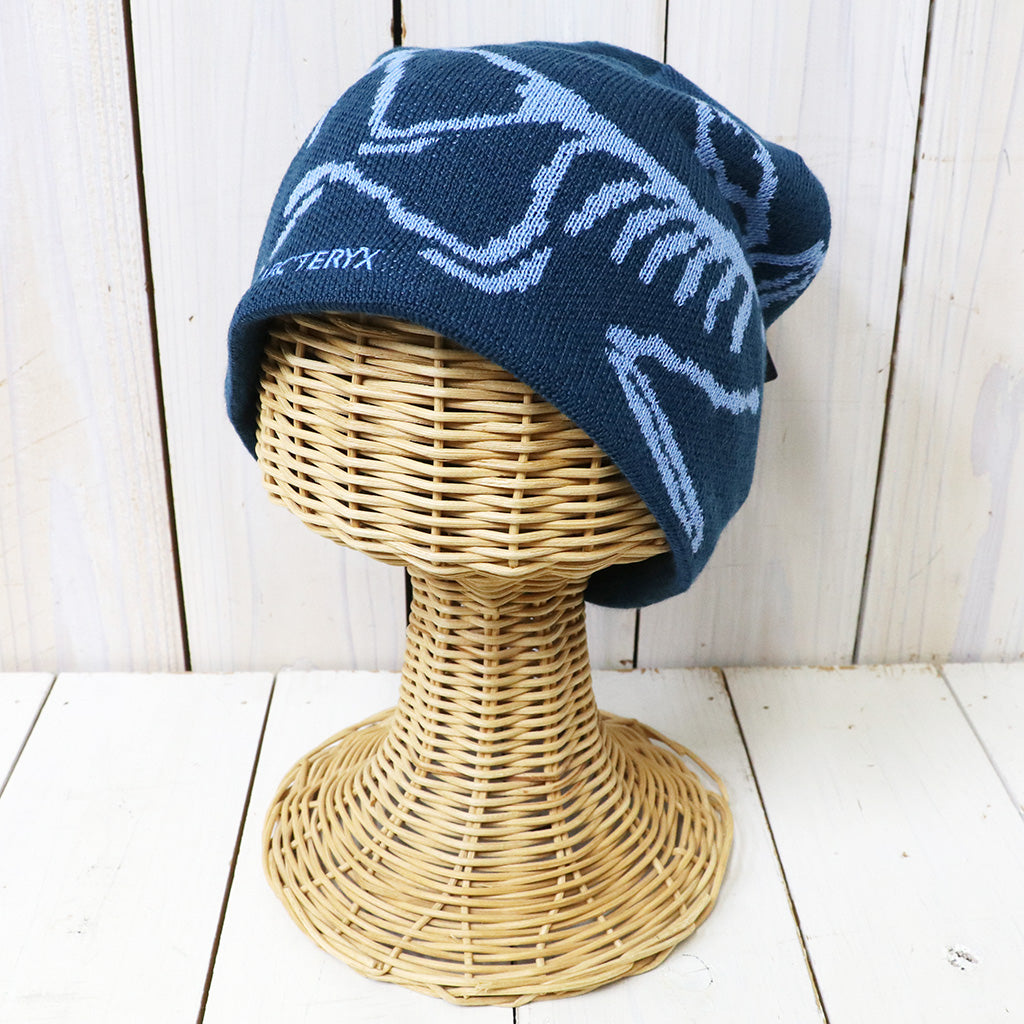 ARC'TERYX : Bird Head Toque (Nightscape/Glacial)