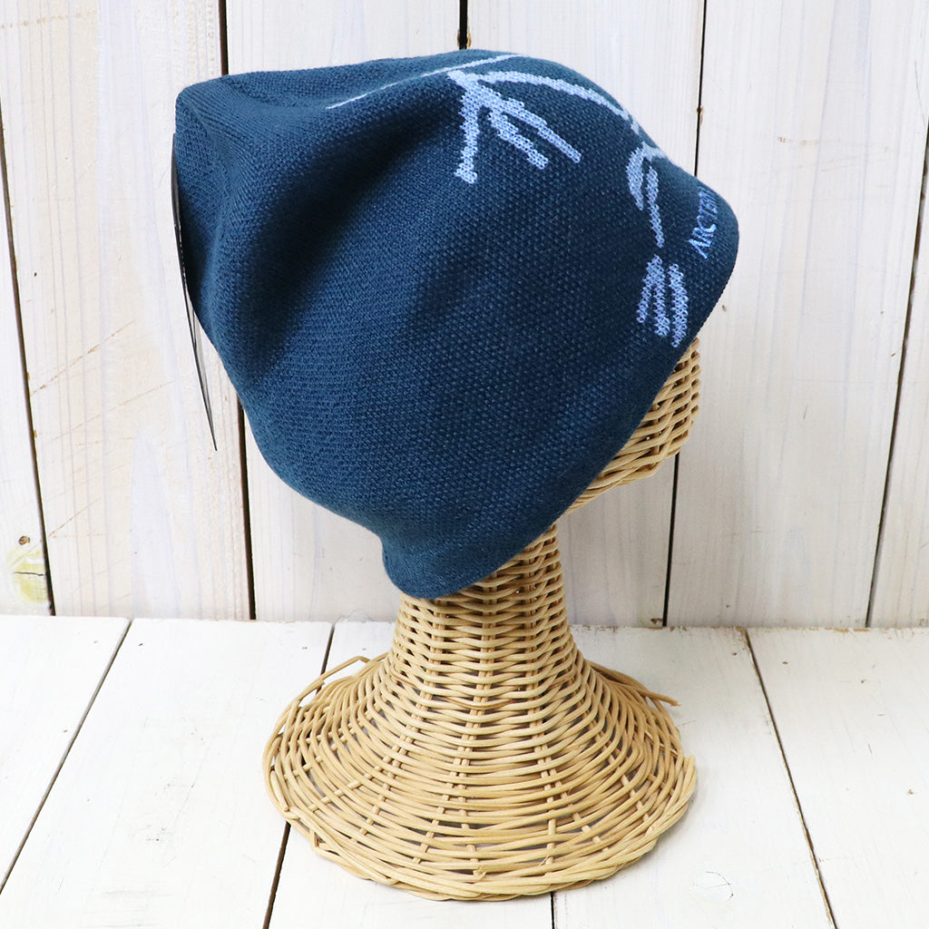 ARC'TERYX : Bird Head Toque (Nightscape/Glacial)