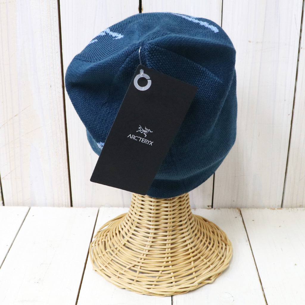 ARC'TERYX : Bird Head Toque (Nightscape/Glacial)