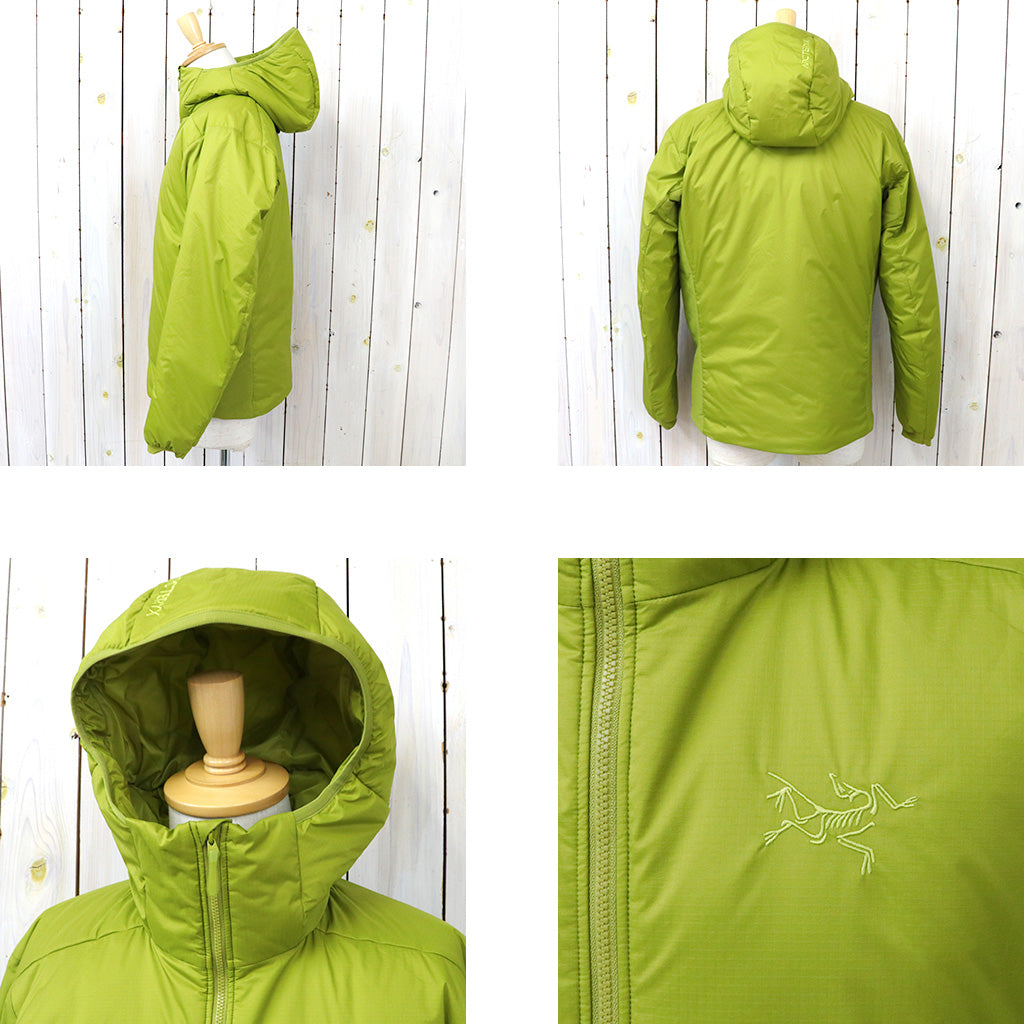 [予約受付中]ARC'TERYX : Atom SV Hoody (Olive Moss)
