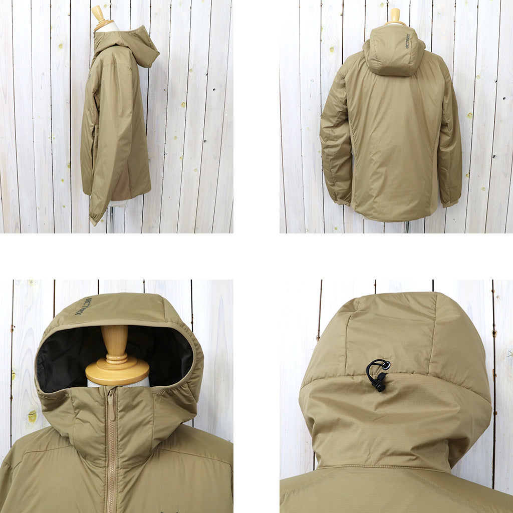 ARC'TERYX : Atom Hoody (Canvas/Forage)