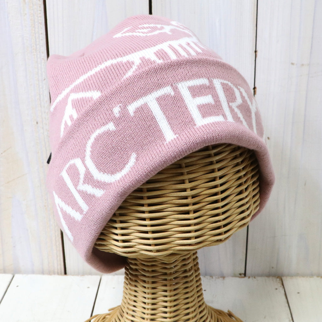 ARC'TERYX : Bird Word Toque (Bliss/Arctic Silk)