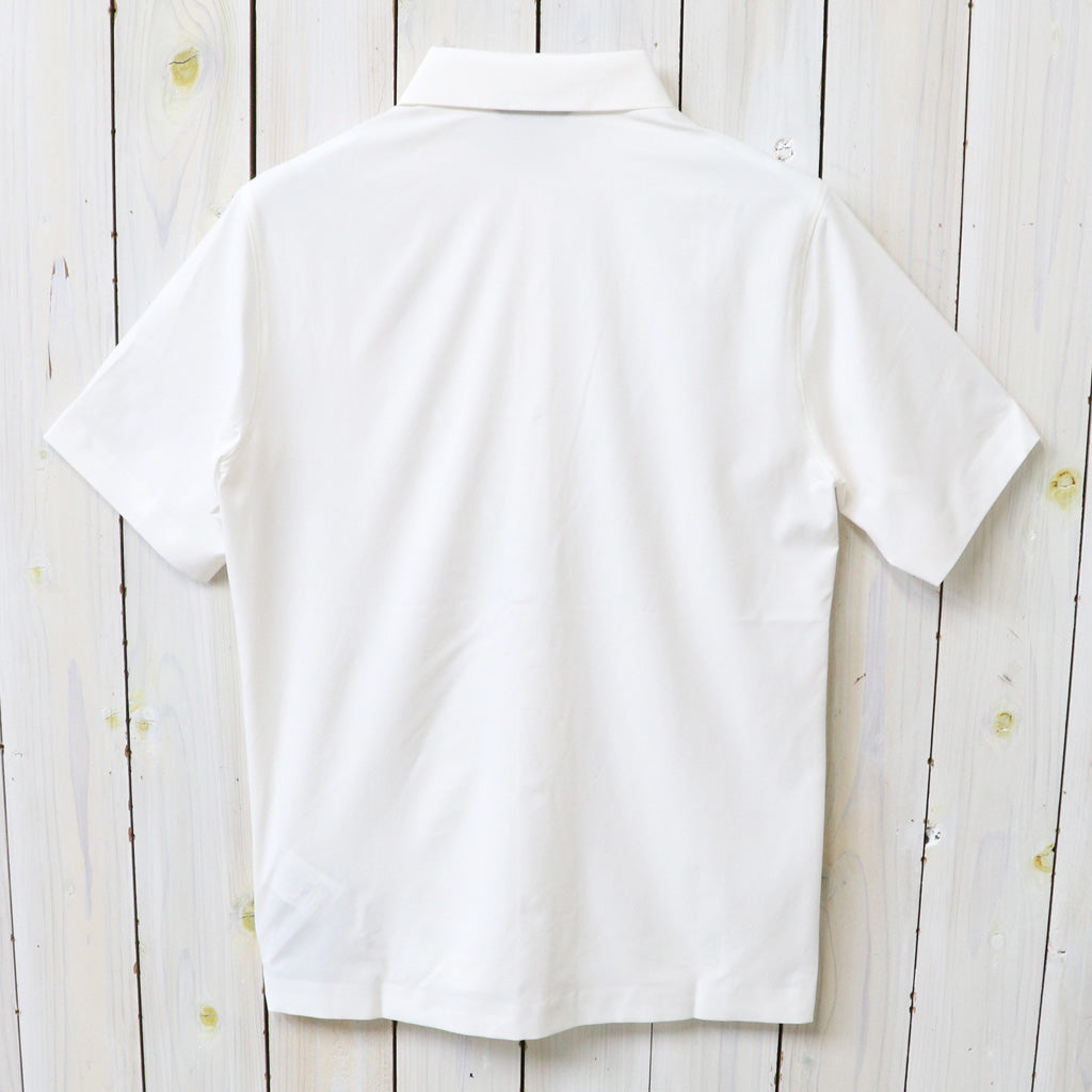 ARC'TERYX : Skyline SS Shirt (Arctic Silk)