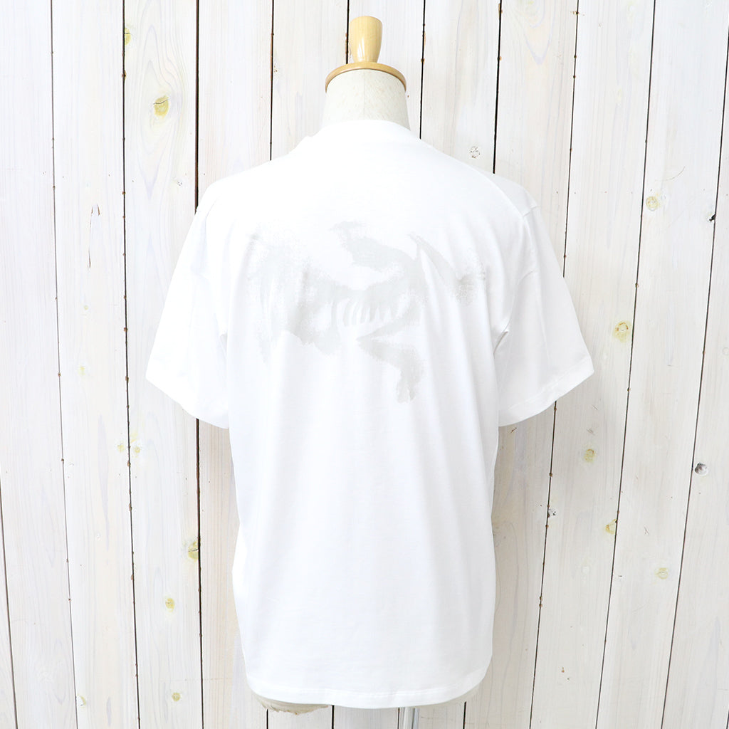 ARC'TERYX : Kragg SL Cotton Blurred Bird SS (White Light/Atmos)