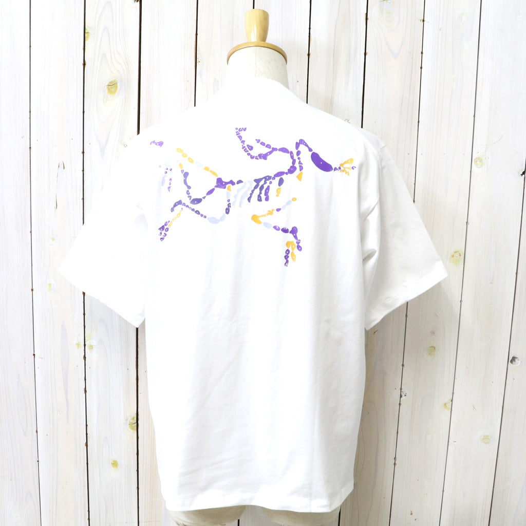 ARC'TERYX : Kragg Cotton V6 SS (White Light)