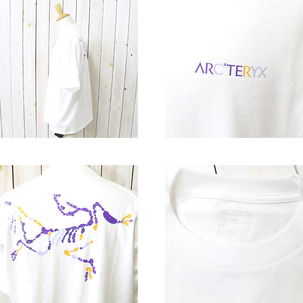 ARC'TERYX : Kragg Cotton V6 SS (White Light)