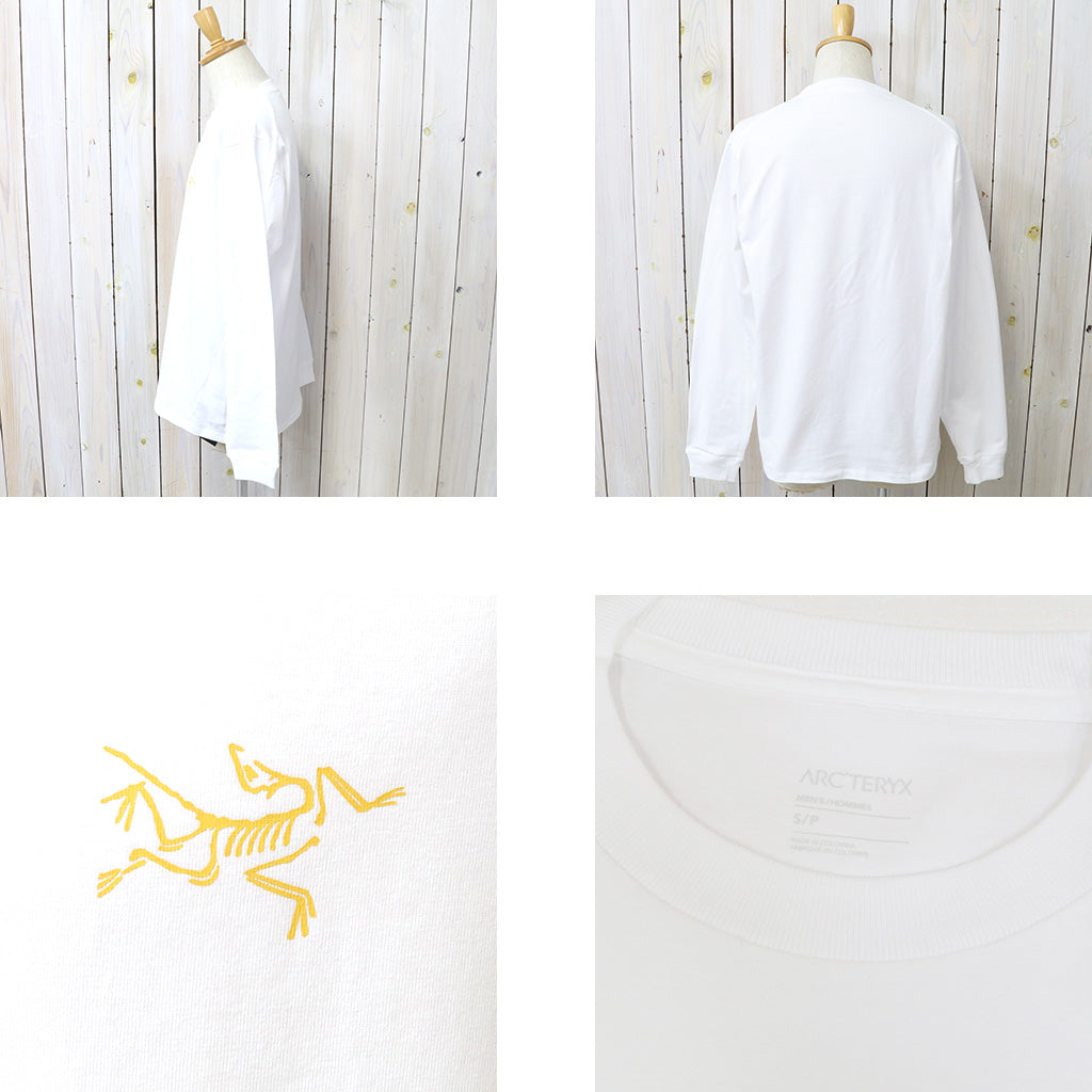 ARC'TERYX : Kragg Cotton LS (White Light/Larch)