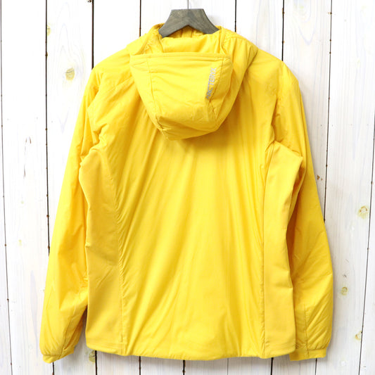 ARC'TERYX : Atom Hoody (Larch)