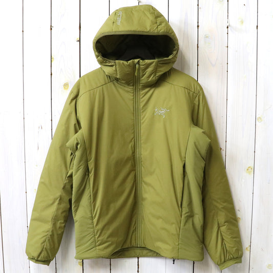ARC'TERYX : Atom SV Hoody (Bracken)