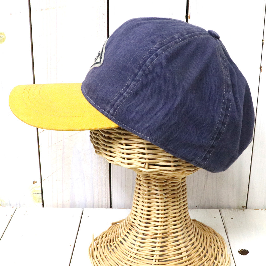 Double RL : HERRINGBONE TWILL TRUCKER CAP (PURPLE)