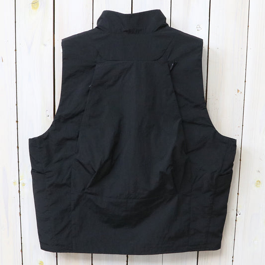 Goldwin : Back Pack Vest (BLACK)