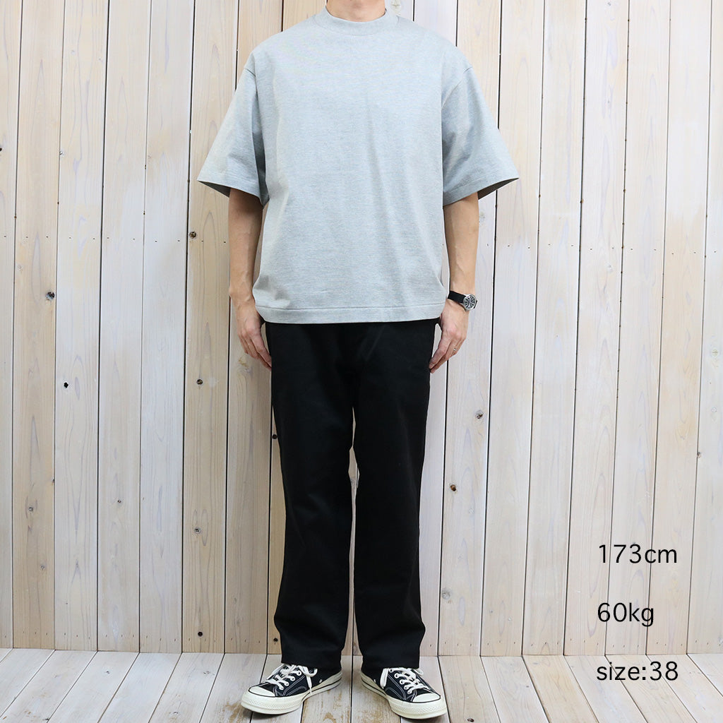 Kaptain Sunshine的Suvin Supima Tube Halfsleeve Tee重（羽毛灰色）（复制）