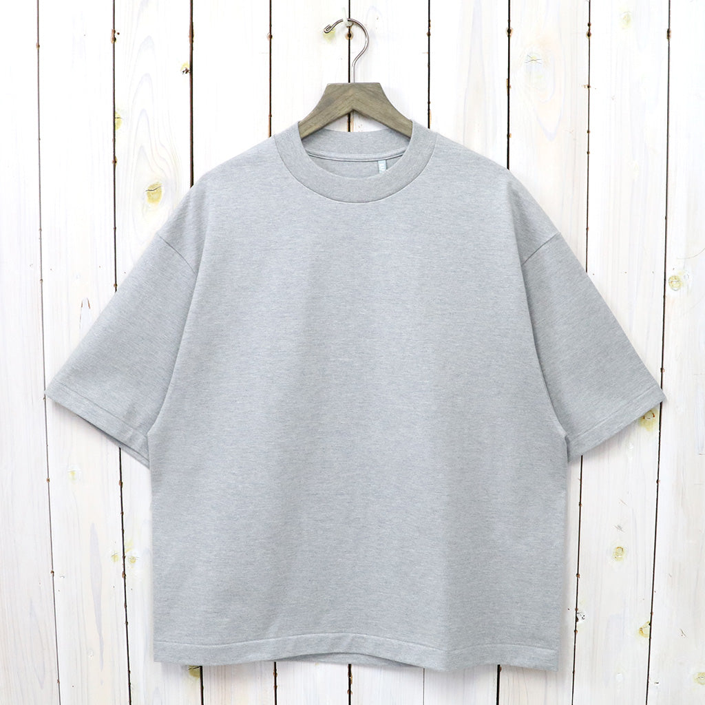 Kaptain Sunshine的Suvin Supima Tube Halfsleeve Tee重（羽毛灰色）（复制）
