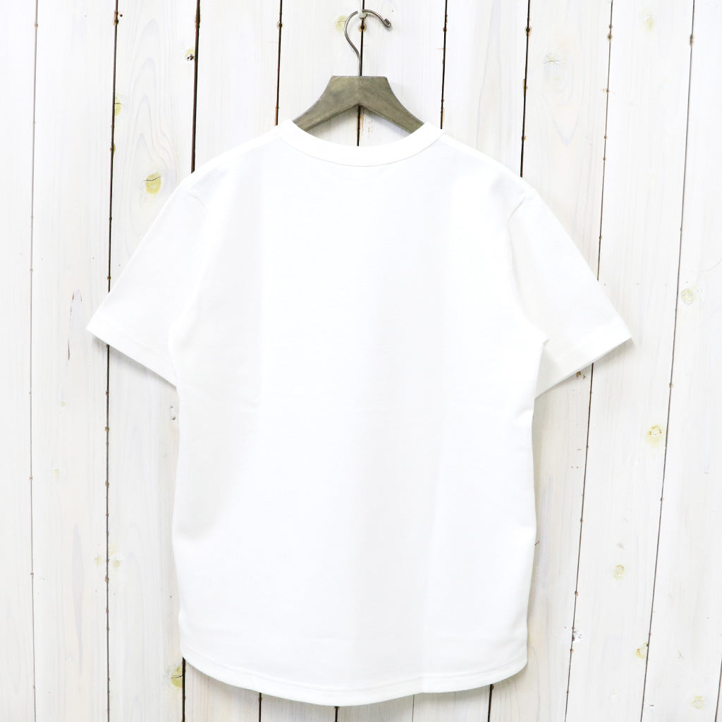 LACOSTE『BIG PIQUE ポケットTシャツ』(WHITE)